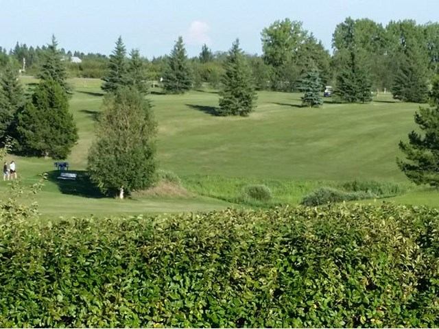Golf course fairway with trees, hedgerow foreground, golfers near tee in distance.