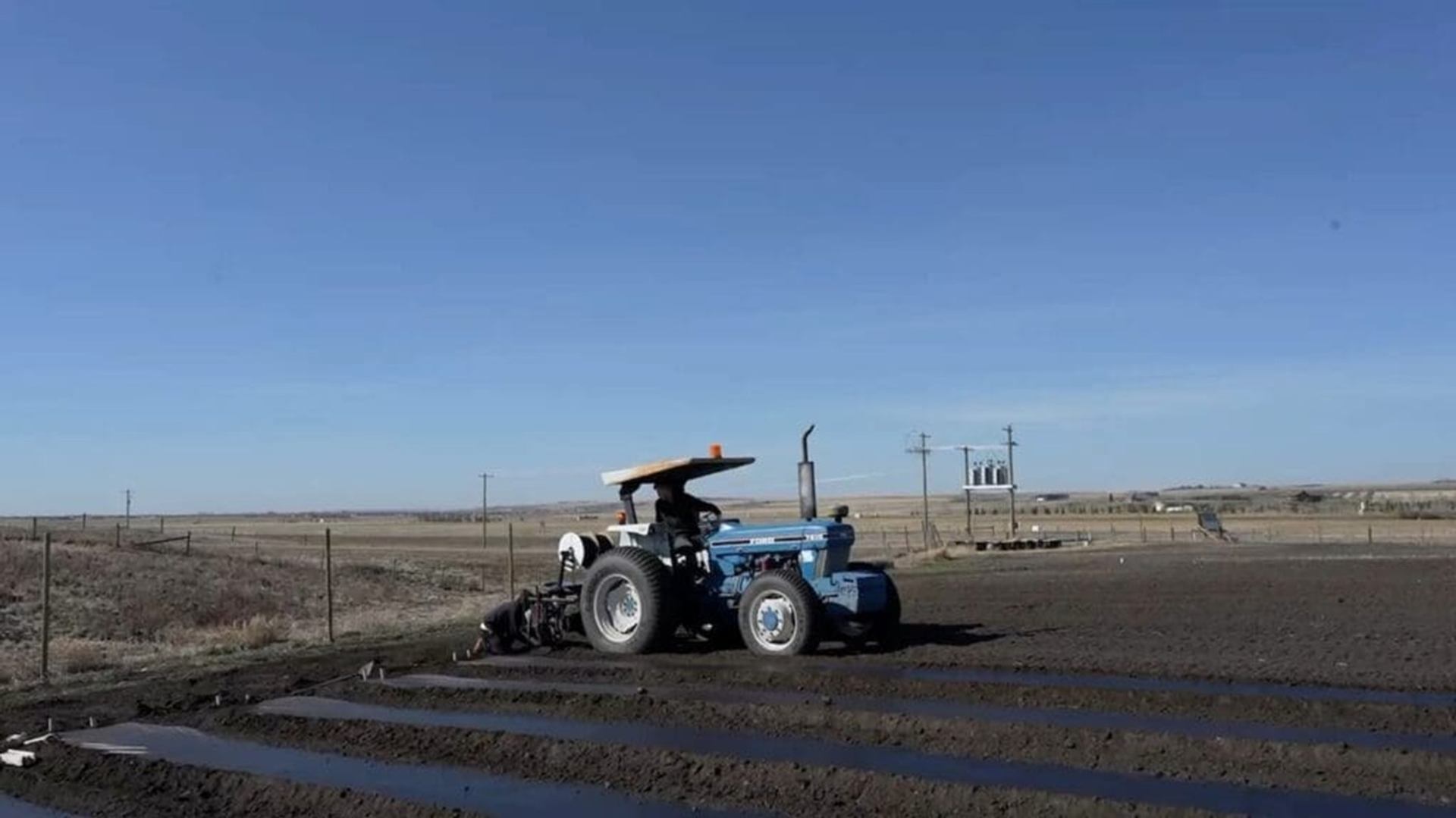 Blue tractor works in large ploughed field under clear sky near power lines.
