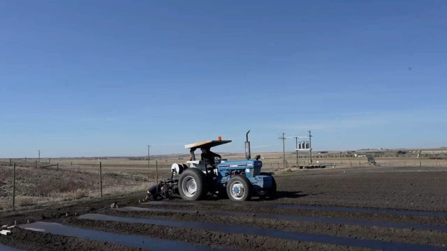 Blue tractor works in large ploughed field under clear sky near power lines.