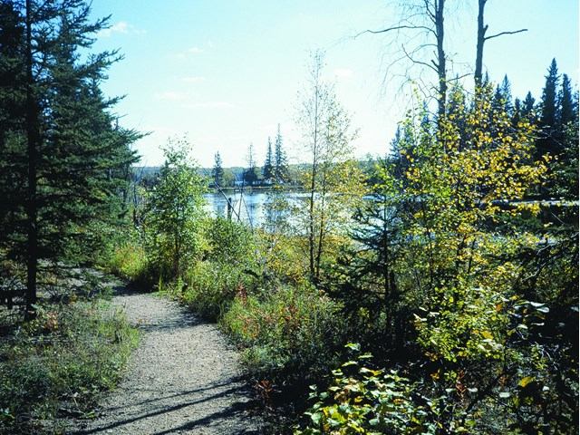 A trail in the park
