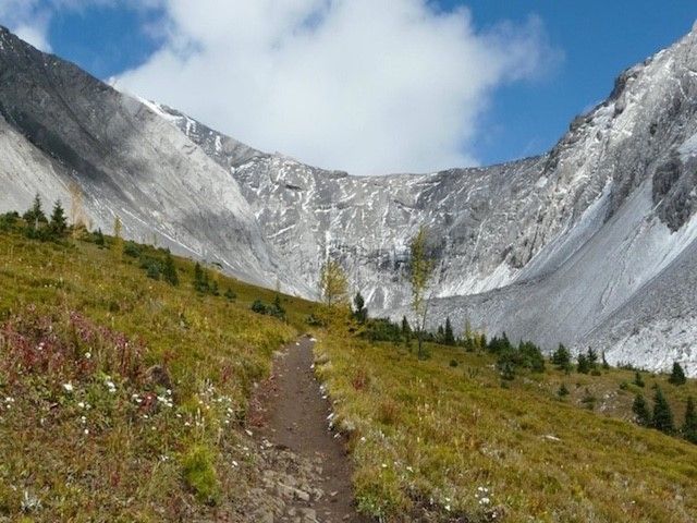 Scenic shot of the Ptarmigan Cirque Trail.