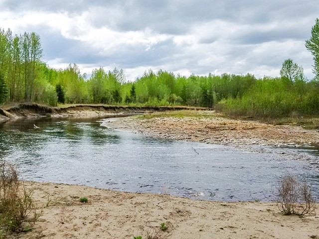 Calm river bending through sandy banks and lush green forest under a cloudy sky.