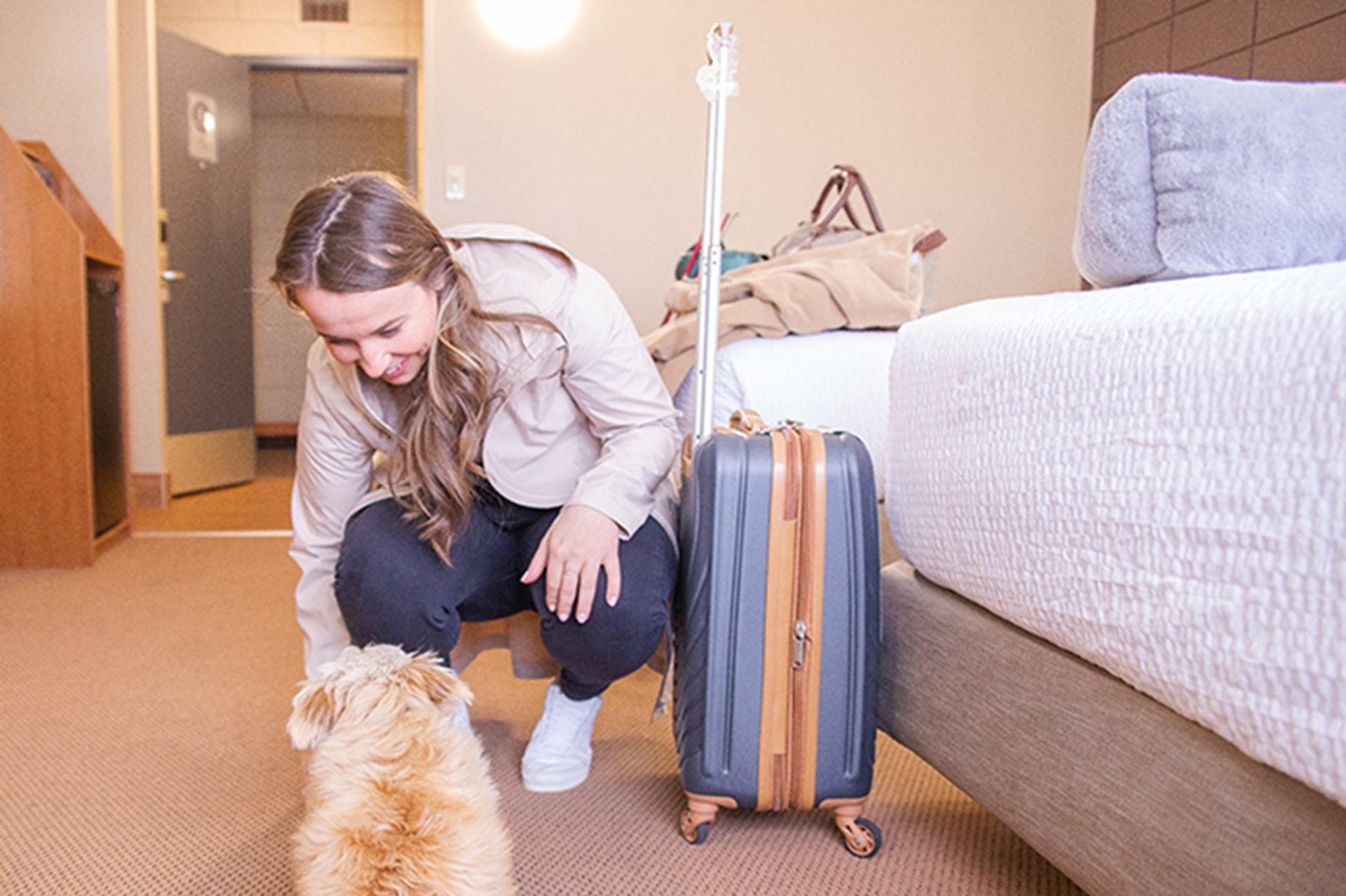 A guest kneels beside a small dog near a bed and suitcase inside a hotel room. The scene shows a welcoming, comfortable space suitable for travellers with pets.