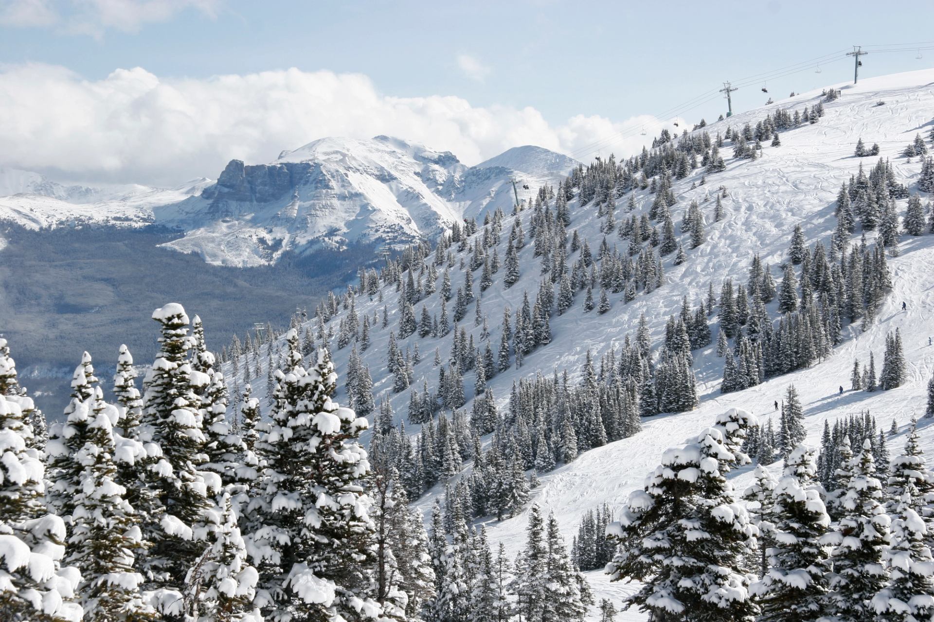 Snow-covered mountain slopes lined with trees and ski lifts under a bright winter sky.