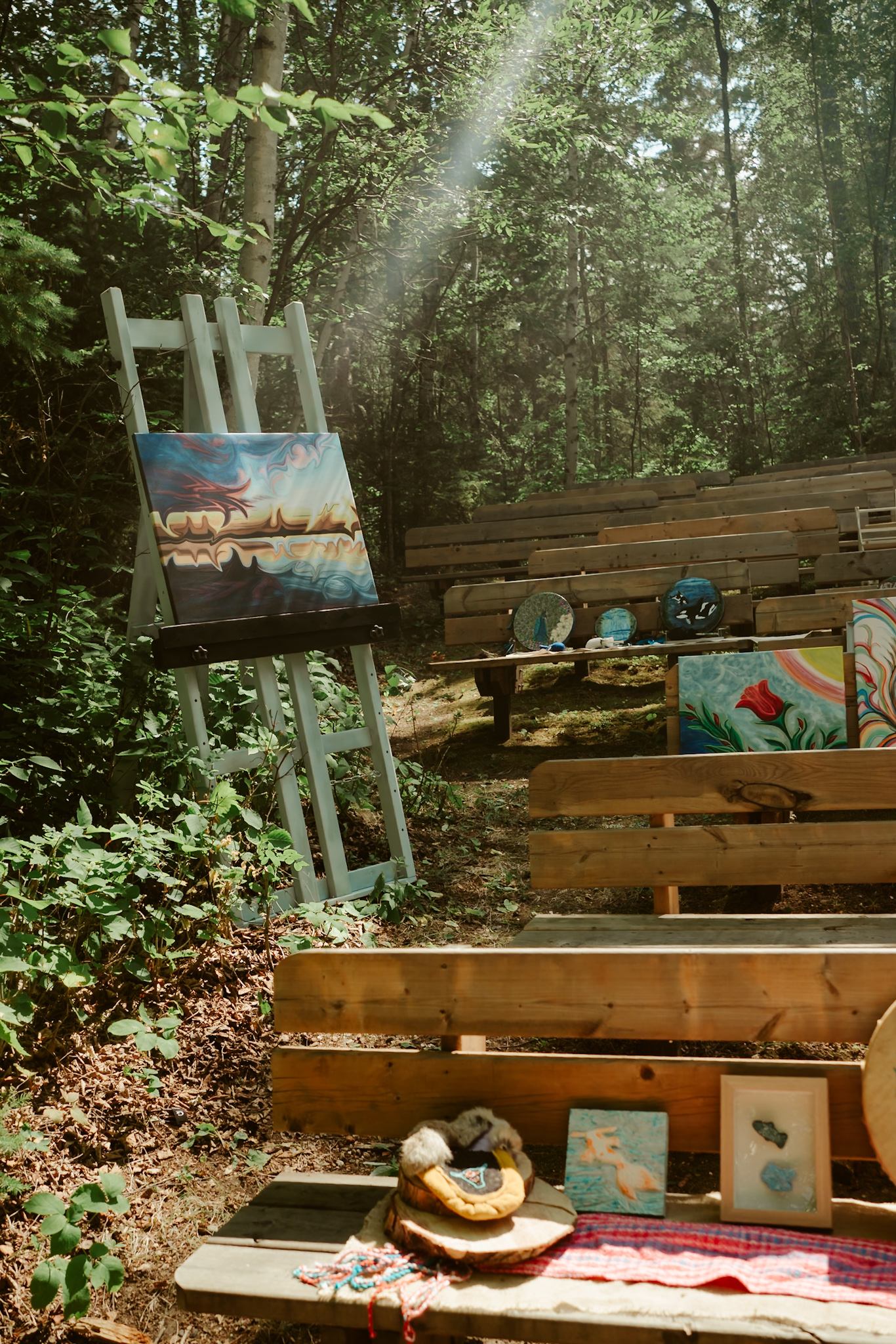 Paintings displayed on benches and an easel in a sunlit forest clearing.
