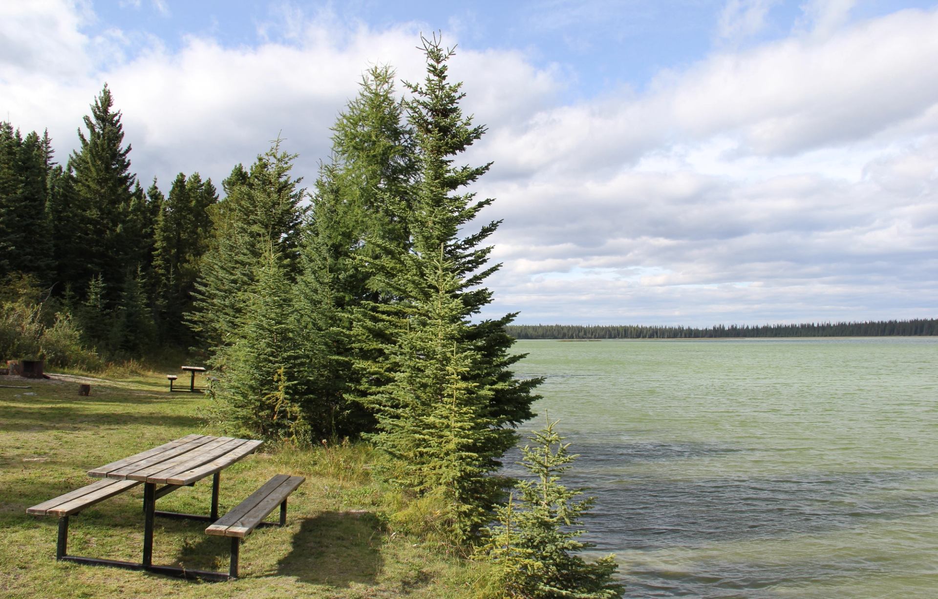 Lakeside picnic table beside evergreen trees overlooking calm green water and distant forest.