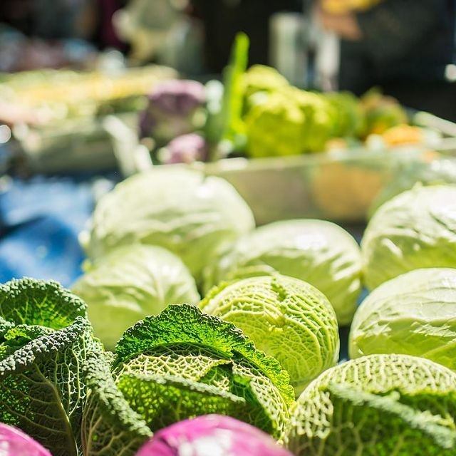 Fresh green and white cabbages on display at Callingwood Farmers' Market.