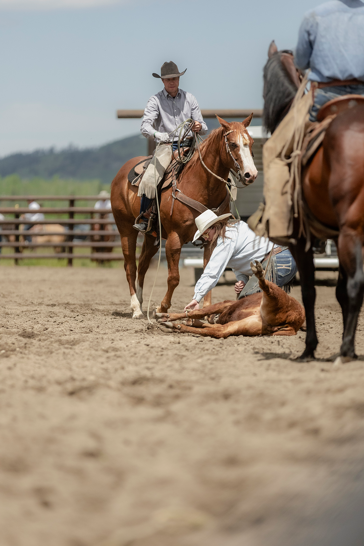 Riders on horseback assist a cowboy on the ground handling a calf during a ranch rodeo.