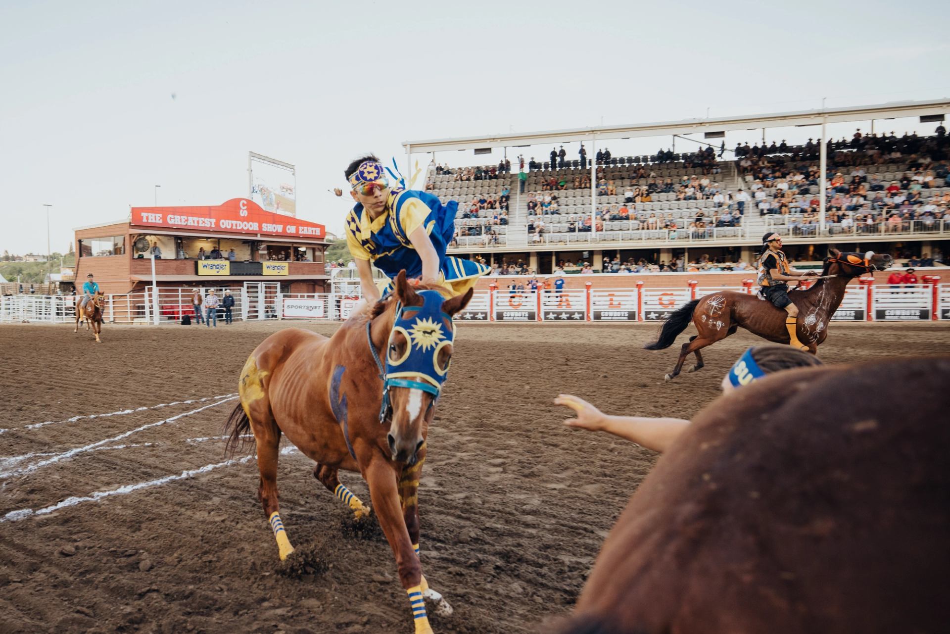 Rodeo performer leans from decorated horse during race as crowd watches in grandstand.