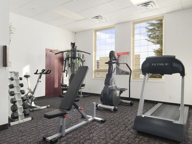 Compact hotel gym with cardio machines, weights, and bright natural lighting.