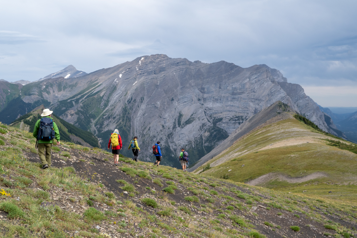 Hikers with backpacks walk along grassy mountain ridge with large rocky peaks in background.