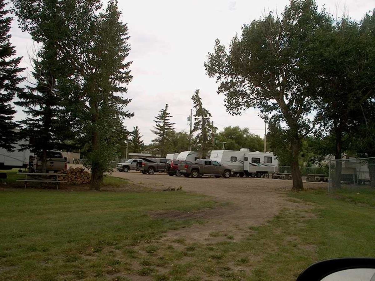 Trailers and parked vehicles line a dirt lane among tall trees.