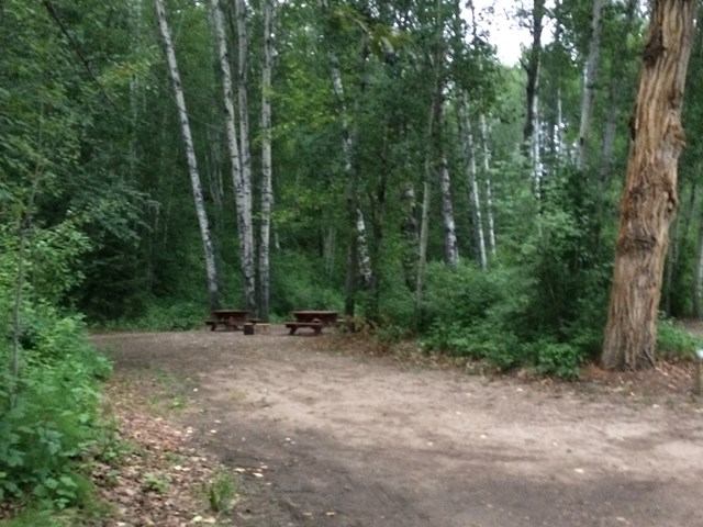 A campsite at the park with a picnic table and surrounded by trees
