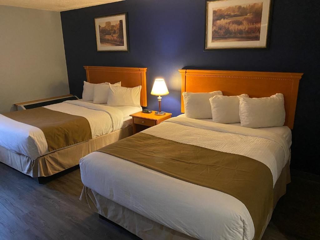 Hotel room with two double beds, nature artwork, and warm lighting at Hotel Northern Star.