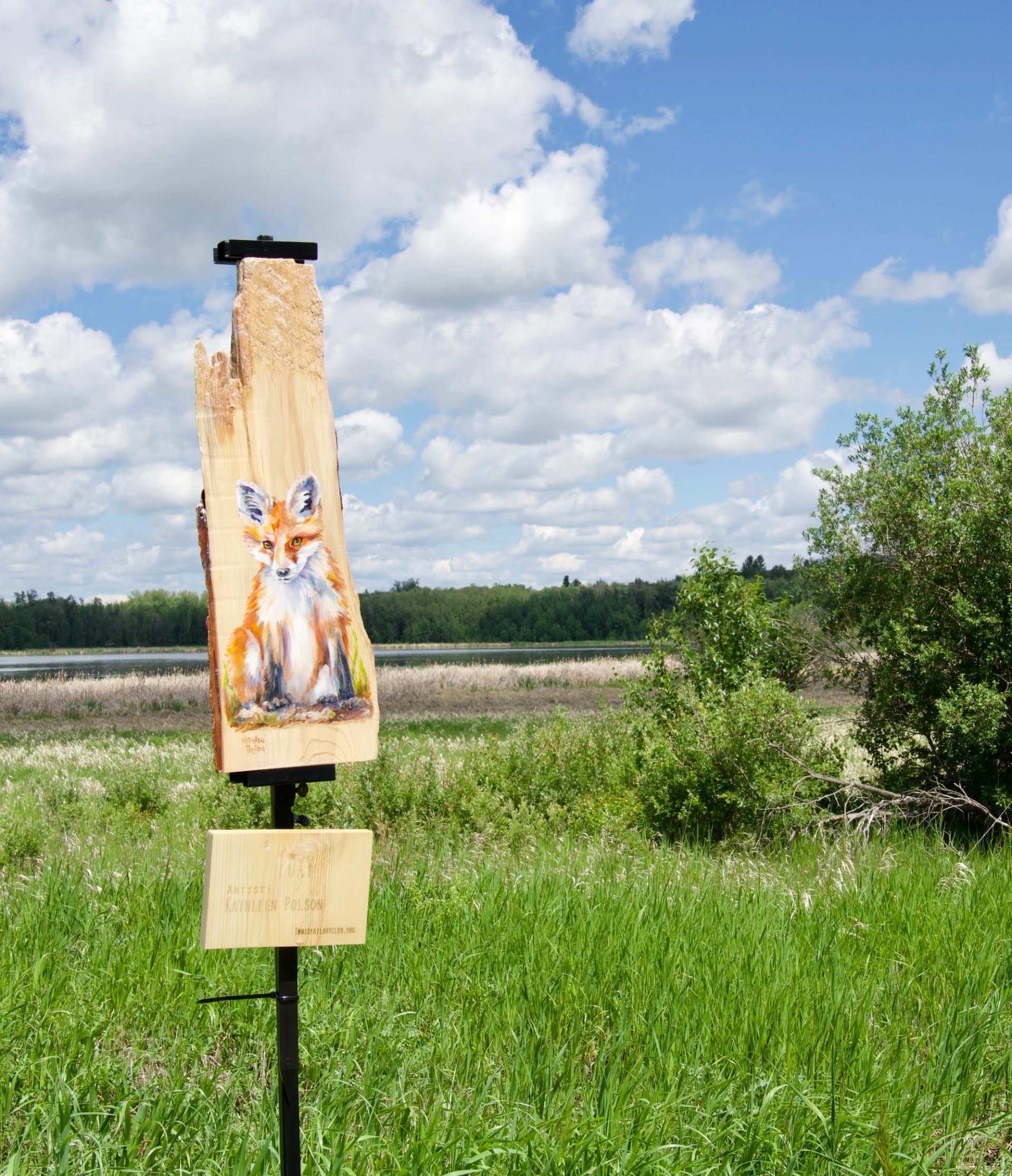 Wooden sign with painted fox stands in grassy field near wetland and trees.