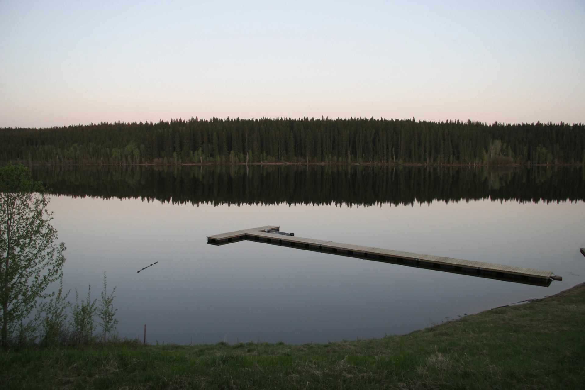 Wooden dock extends over calm lake with dense evergreen forest reflection.