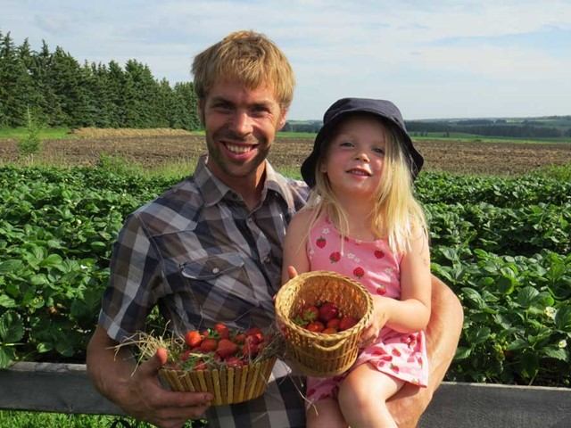 Two people holding baskets of strawberries in a sunny field with rows of plants.