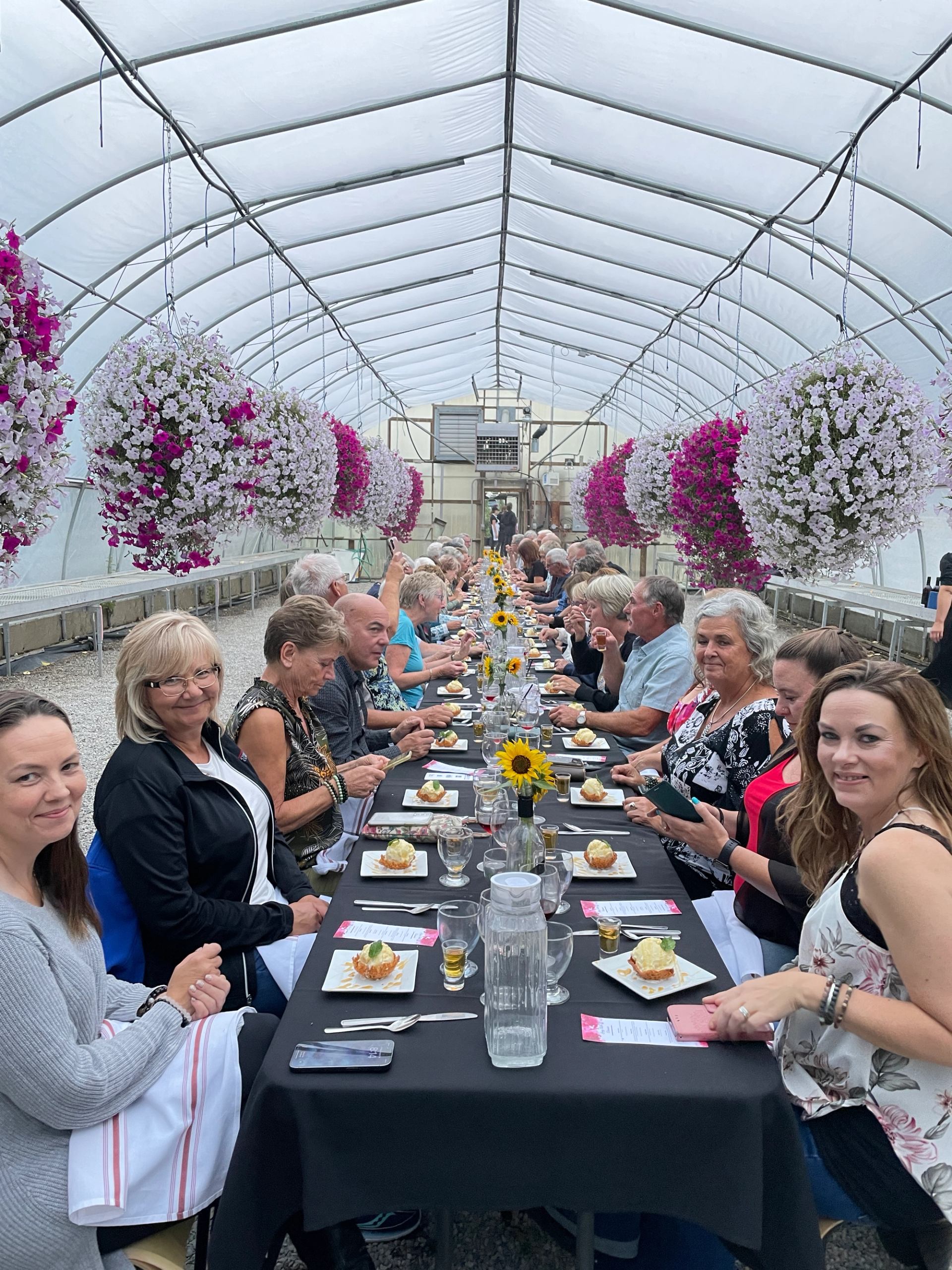 Long table of diners in greenhouse beneath hanging flower baskets and clear arched roof.