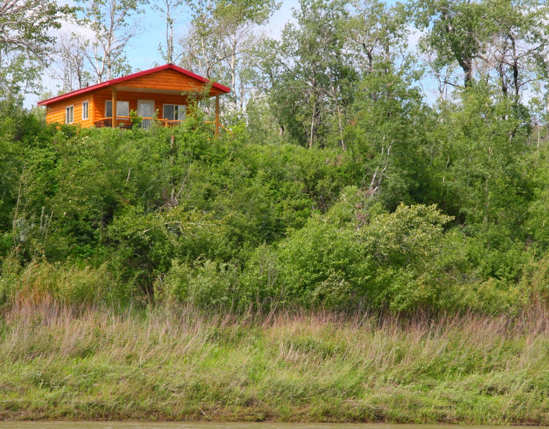 Wooden cabin with red roof nestled among dense green trees on a grassy hillside