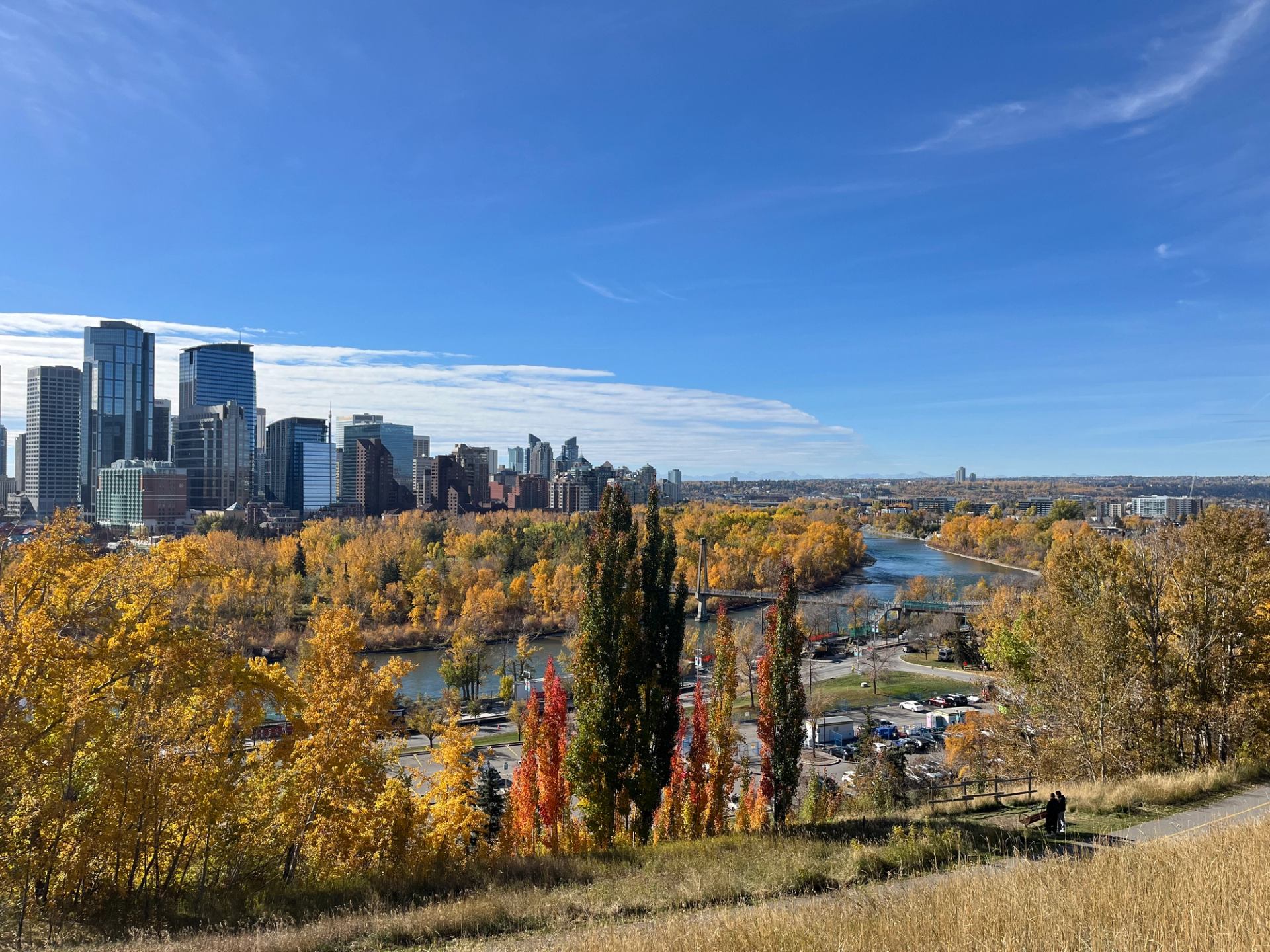 Calgary skyline overlooking a river and fall trees from a hillside viewpoint.