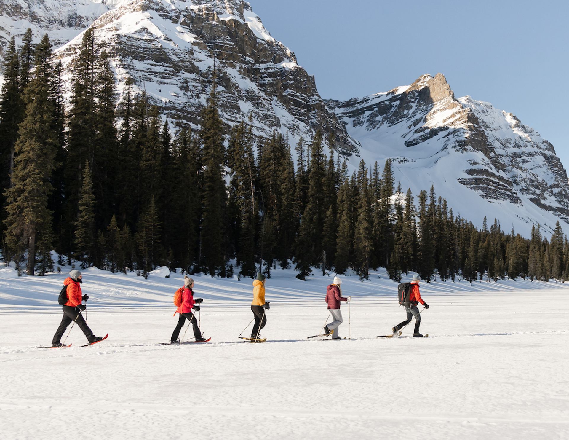 Snowshoers in front of impressive mountains in a wilderness setting.