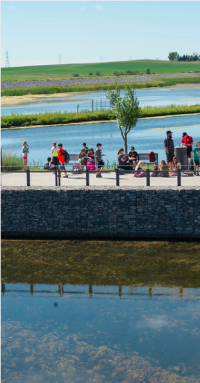 Group of people sitting near water with grassy fields and trees in background