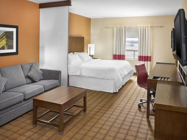 Hotel room with bed, sofa, desk, and orange accent wall at Four Points By Sheraton.