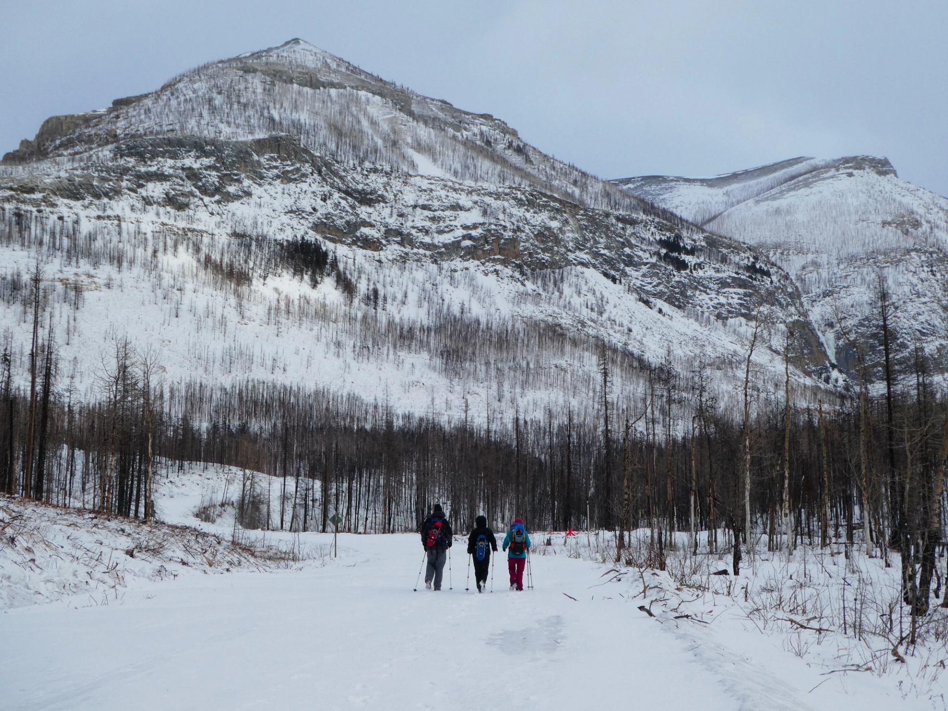 Three people hike through snowy terrain with trekking poles, surrounded by snowy, rocky mountains.