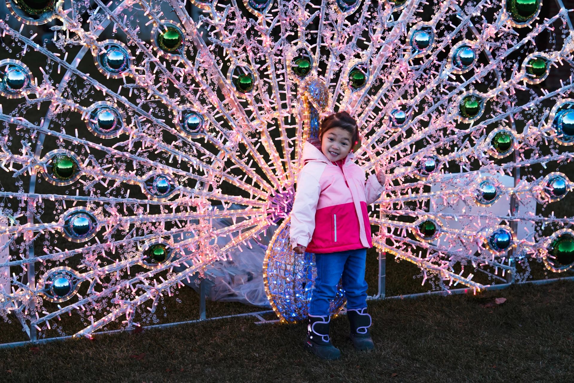 Child standing in front of a glowing peacock light display at the International Christmas Market.