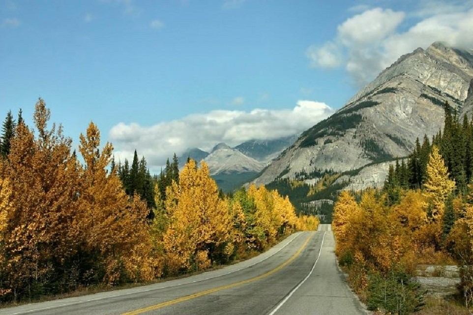 A winding road leads through vibrant autumn trees with golden leaves, set against imposing mountains under a blue sky with scattered clouds.
