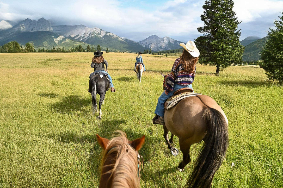 Horseback riders cross a grassy meadow toward forested mountains.