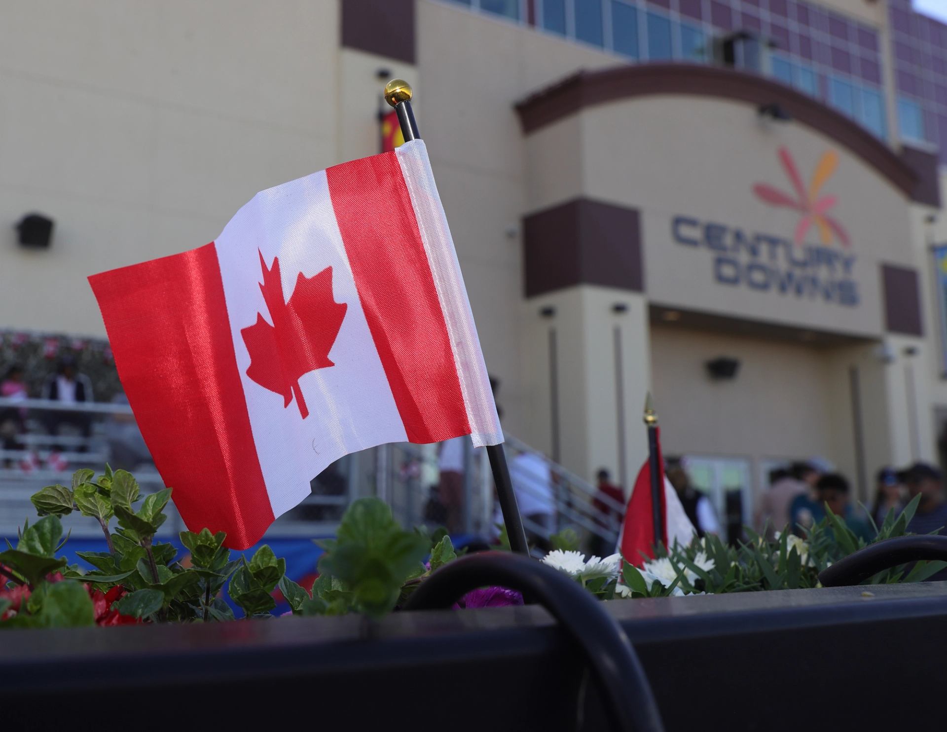 Canadian flag displayed in front of the Century Downs building during a Canada Day event.