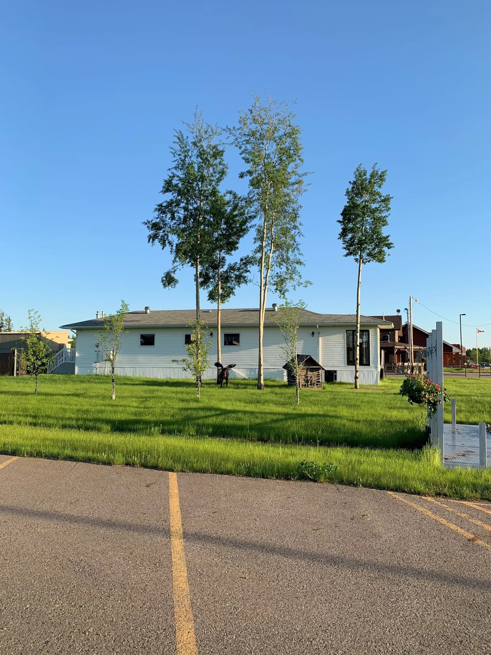 Single-storey white building behind grassy lawn with tall trees and empty parking lot.