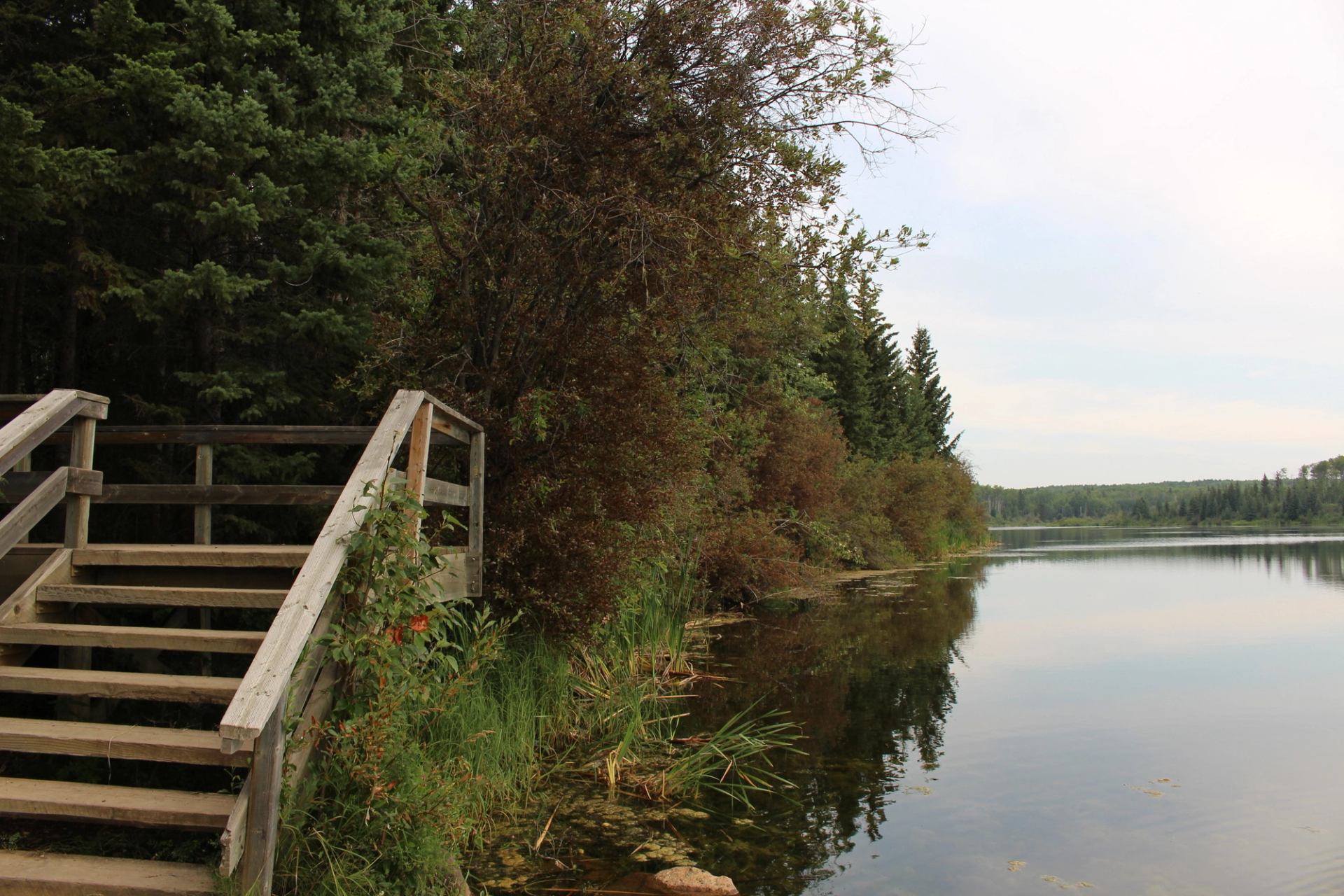 Wooden stairs lead to calm lake surrounded by autumn trees and greenery.