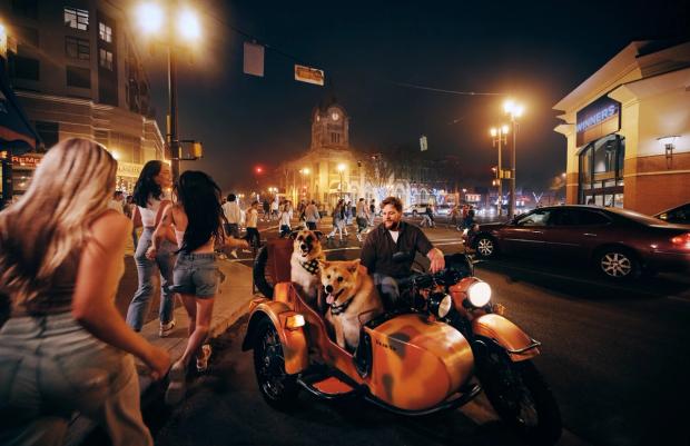 Dogs in sidecar on Whyte Avenue at night.