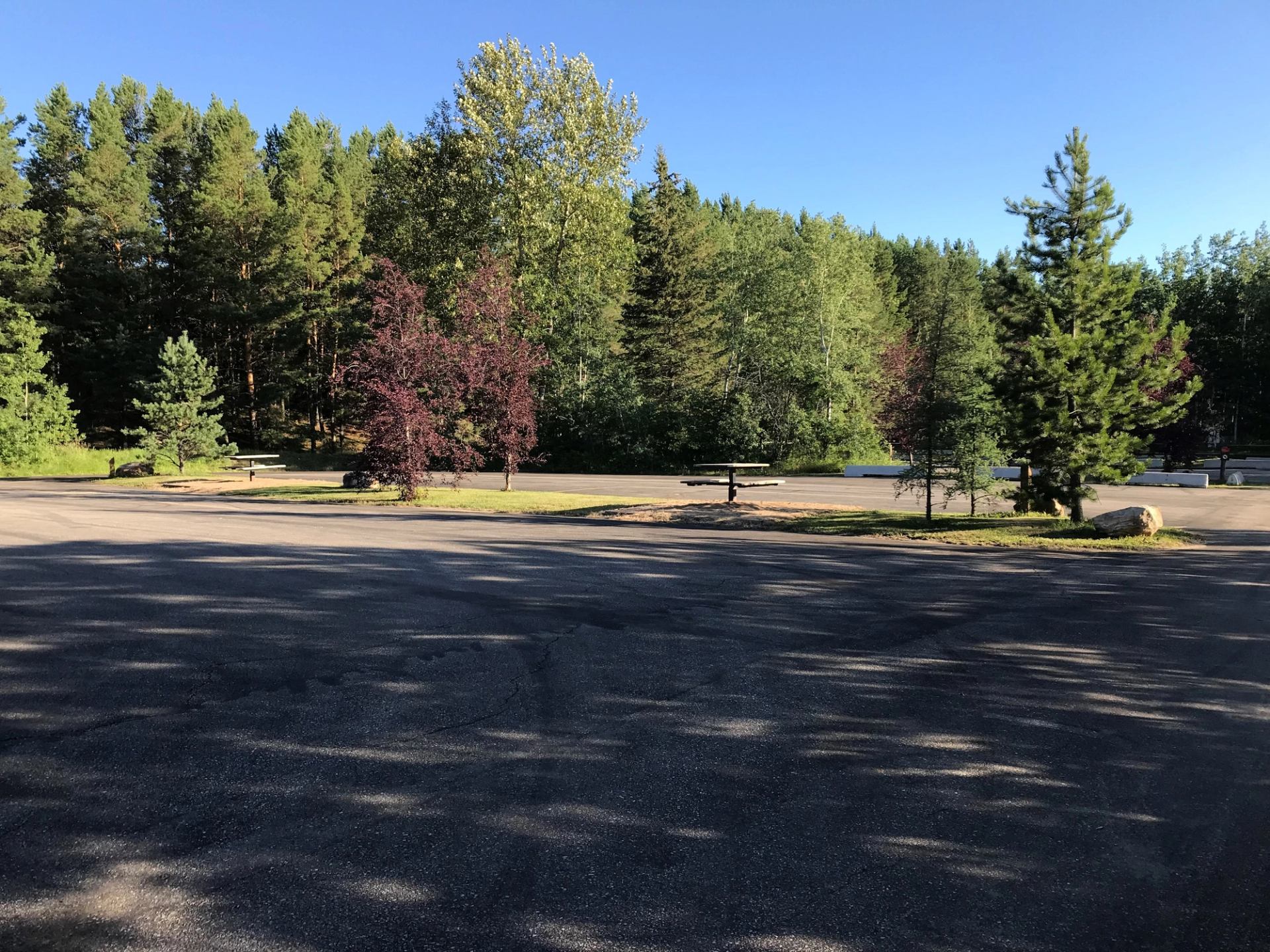 A view of two campsites with picnic tables and trees.