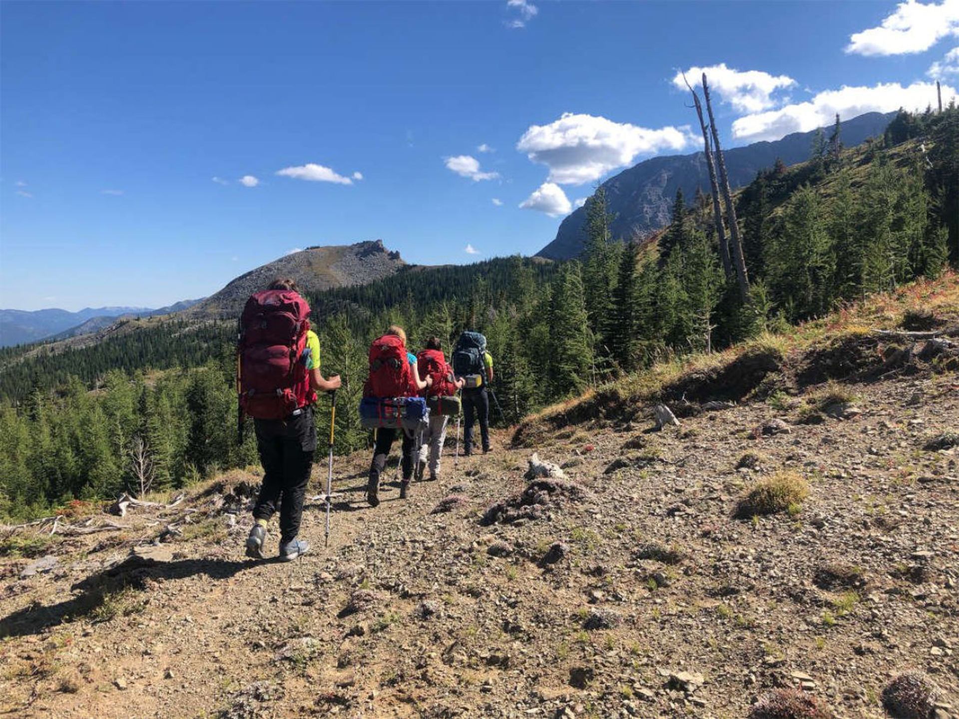 Hikers with large backpacks walk along a rocky mountain trail through evergreen forest.