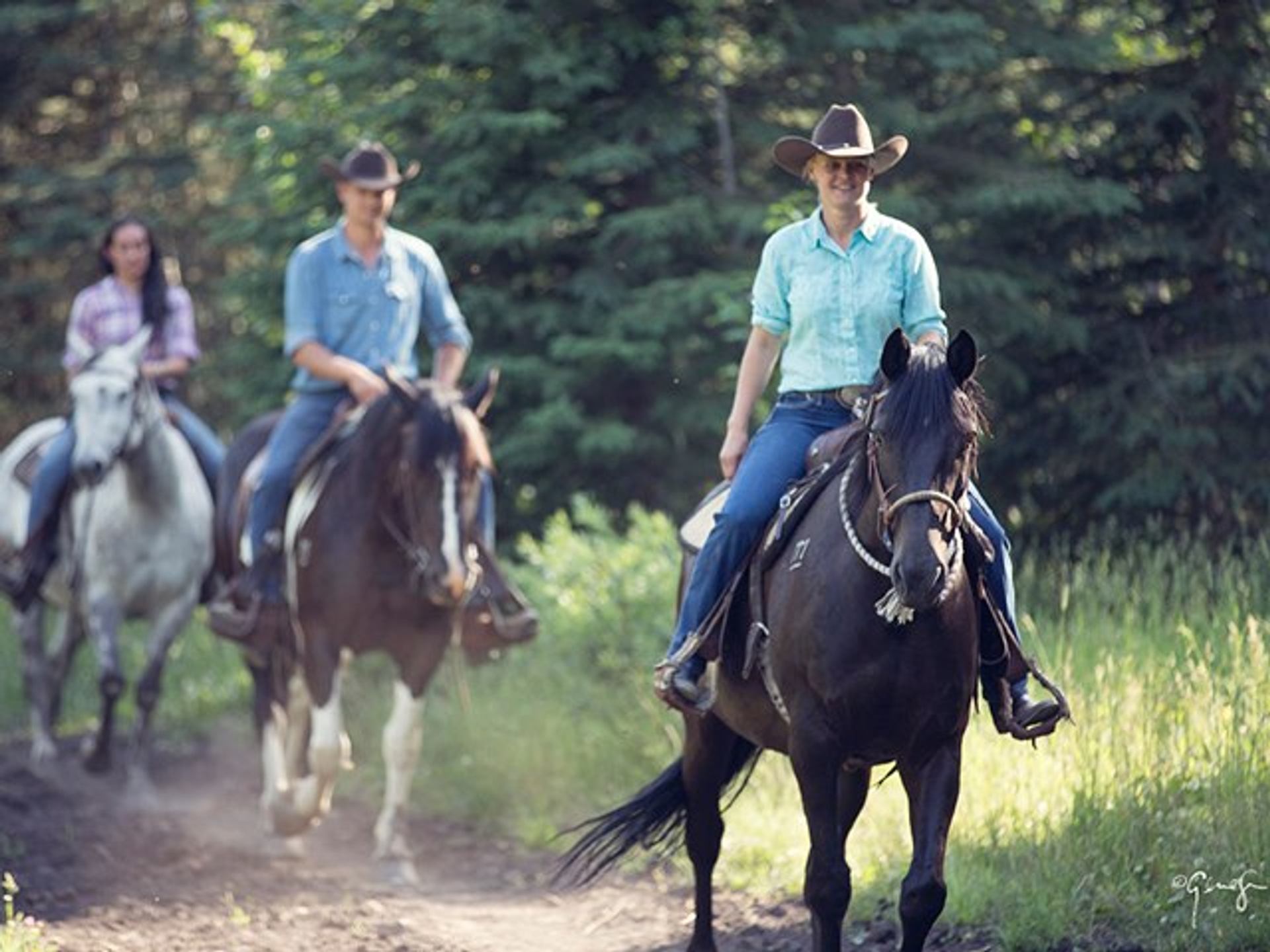 People on horseback on a trail ride.