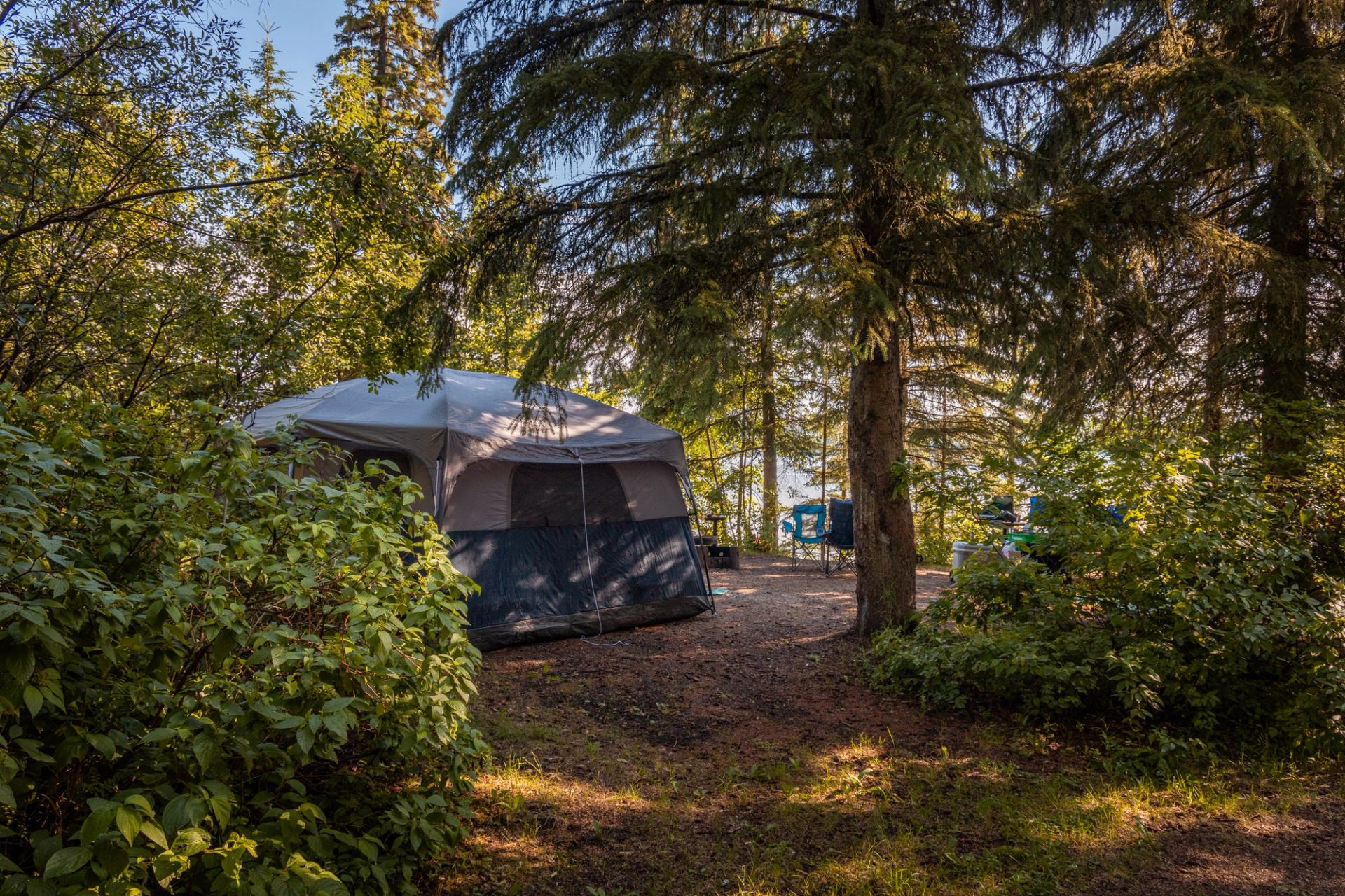 A camper tent sits among dense evergreen trees on a shaded site at Lake Louise Trailer Campground.