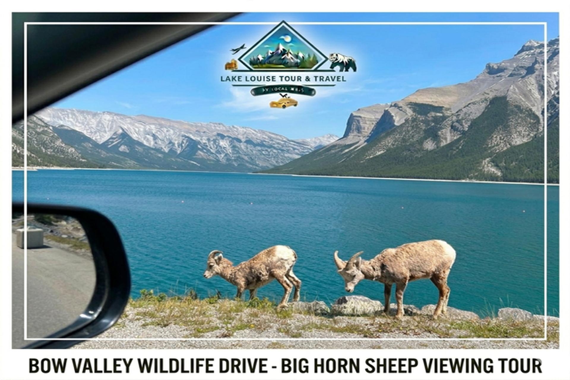 Two bighorn sheep graze beside turquoise lake, mountains and Lake Louise Tour and Travel logo