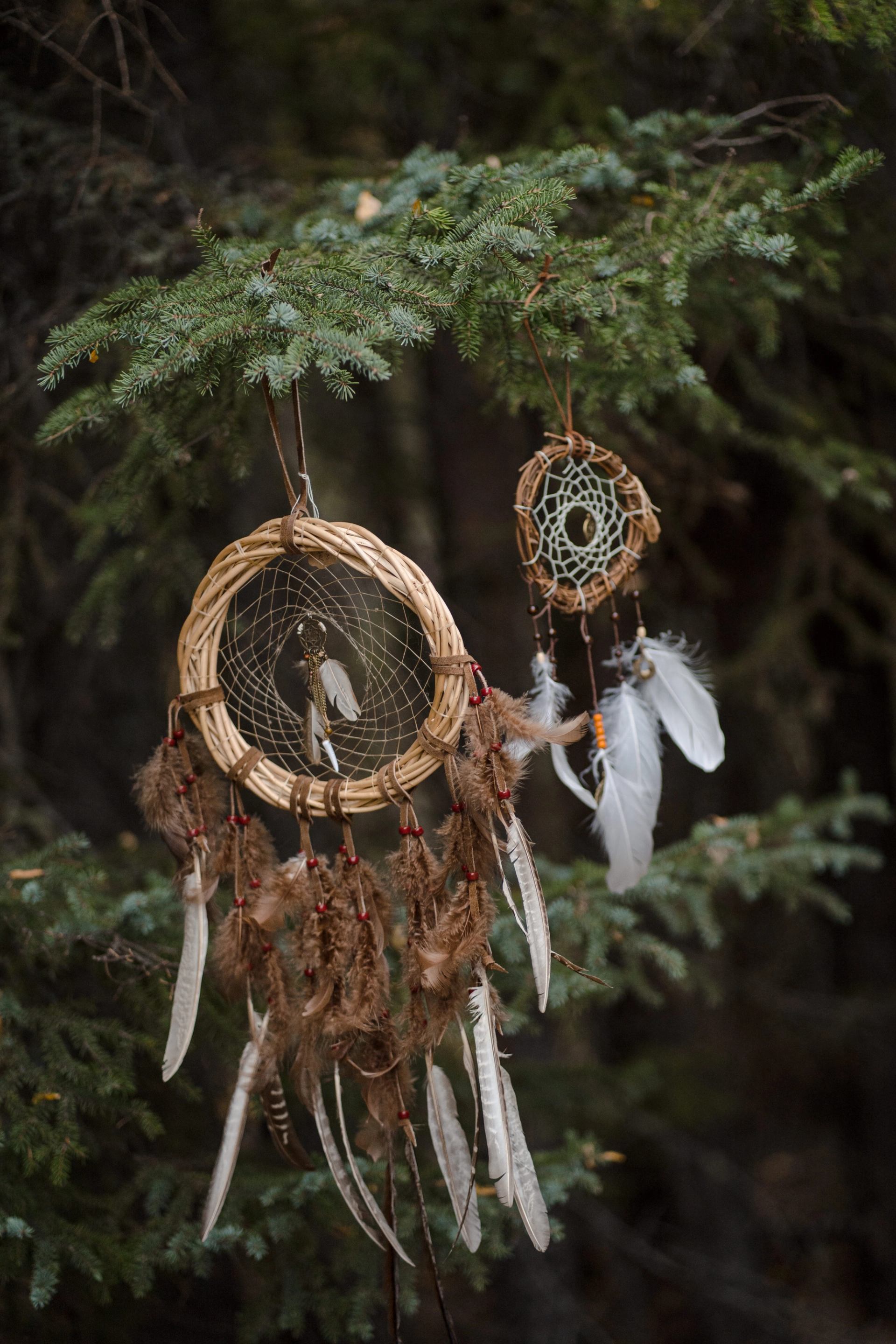 Two feathered dreamcatchers hang from pine tree branches in a forest with dark, blurred background.