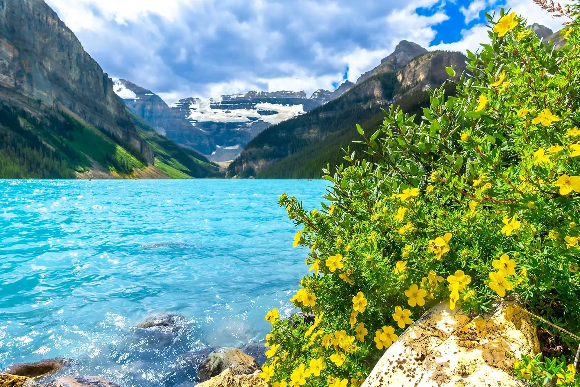 Turquoise mountain lake with rocky shore and yellow wildflowers under partly cloudy sky.