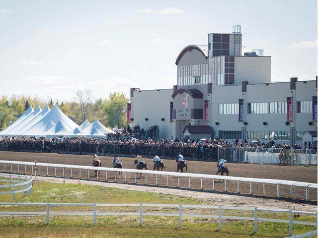 Six racehorses and their riders gallop on a track in front of a packed grandstand.