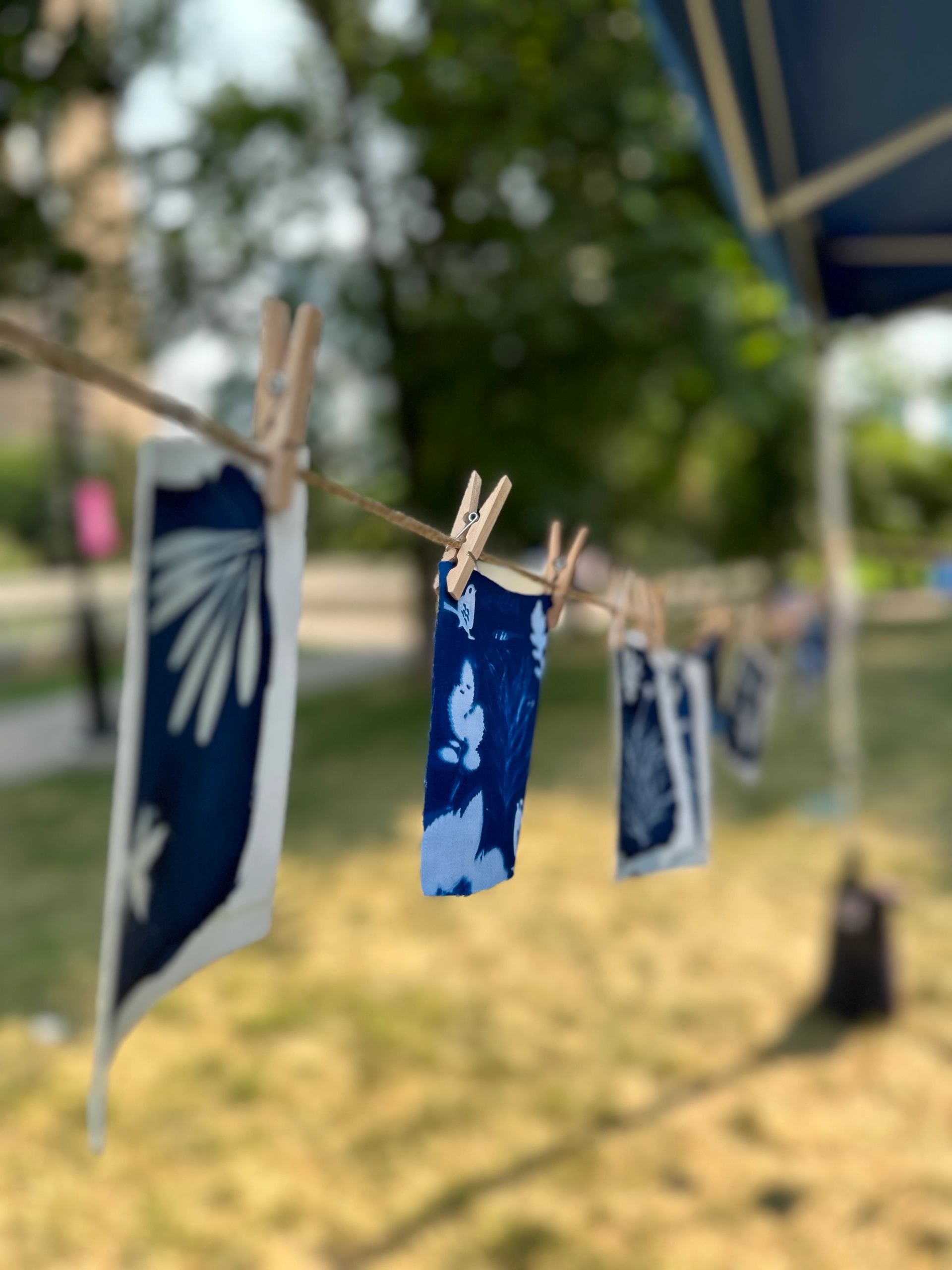 cyanotype printing process, hanging to dry on a clothesline outdoors. 