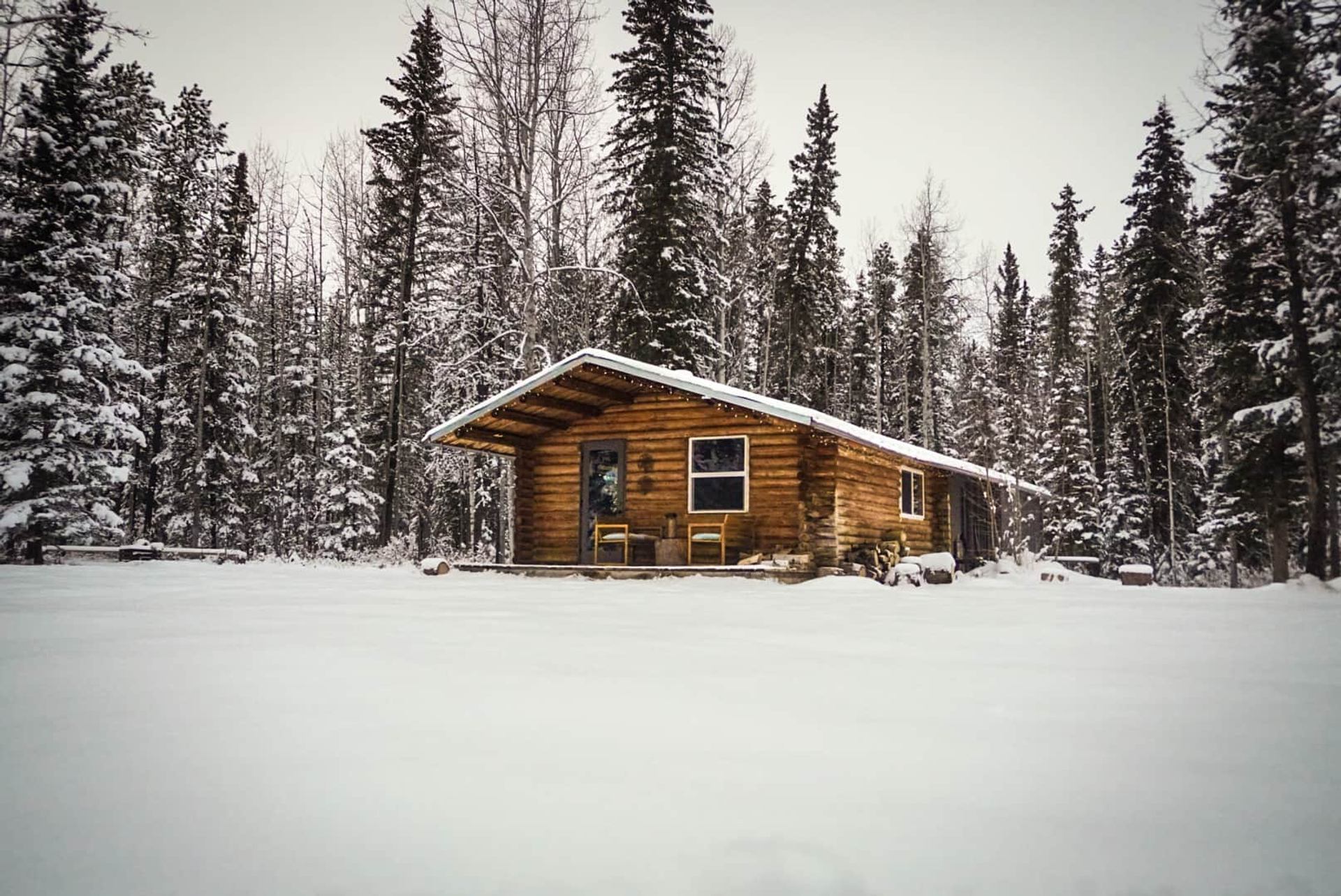 Log cabin with covered porch sits in snowy clearing surrounded by tall evergreen trees.