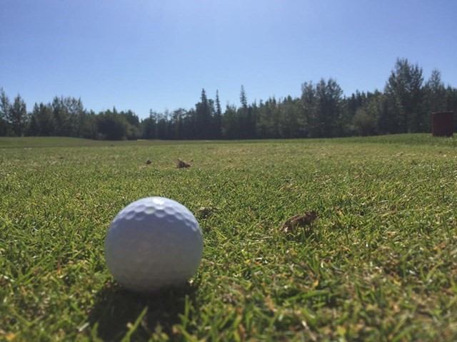 Golf ball resting on a well-kept fairway with trees and clear blue sky at Pipestone Golf Club.