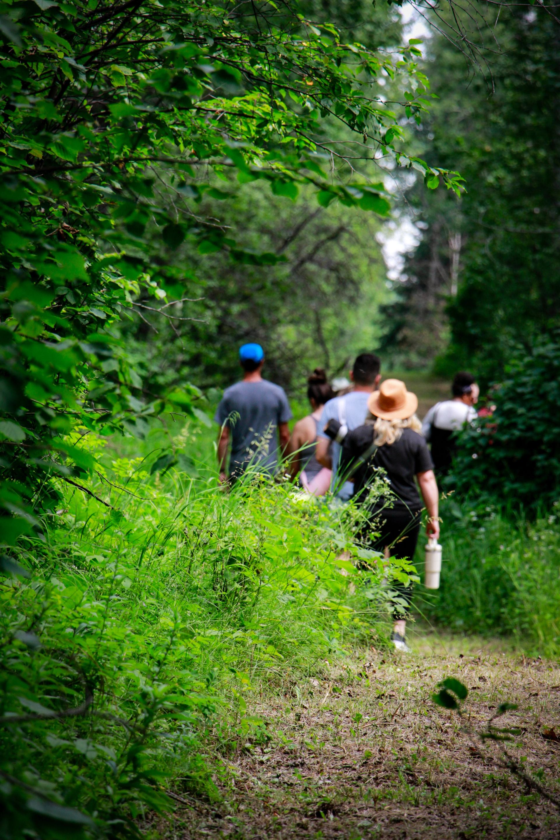 Group walking along a lush, green forest trail during a nature retreat.