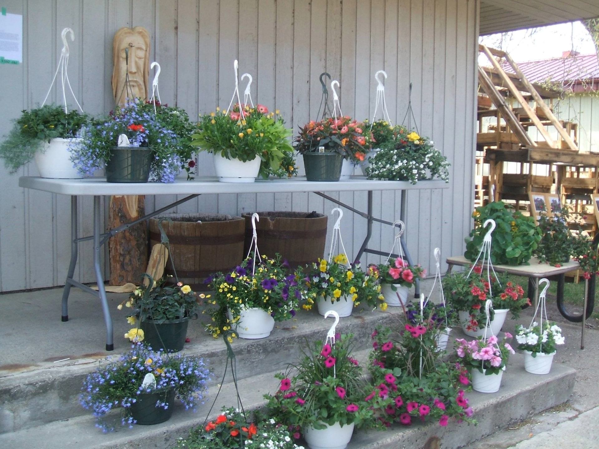Table and steps filled with vibrant hanging flower baskets in white pots