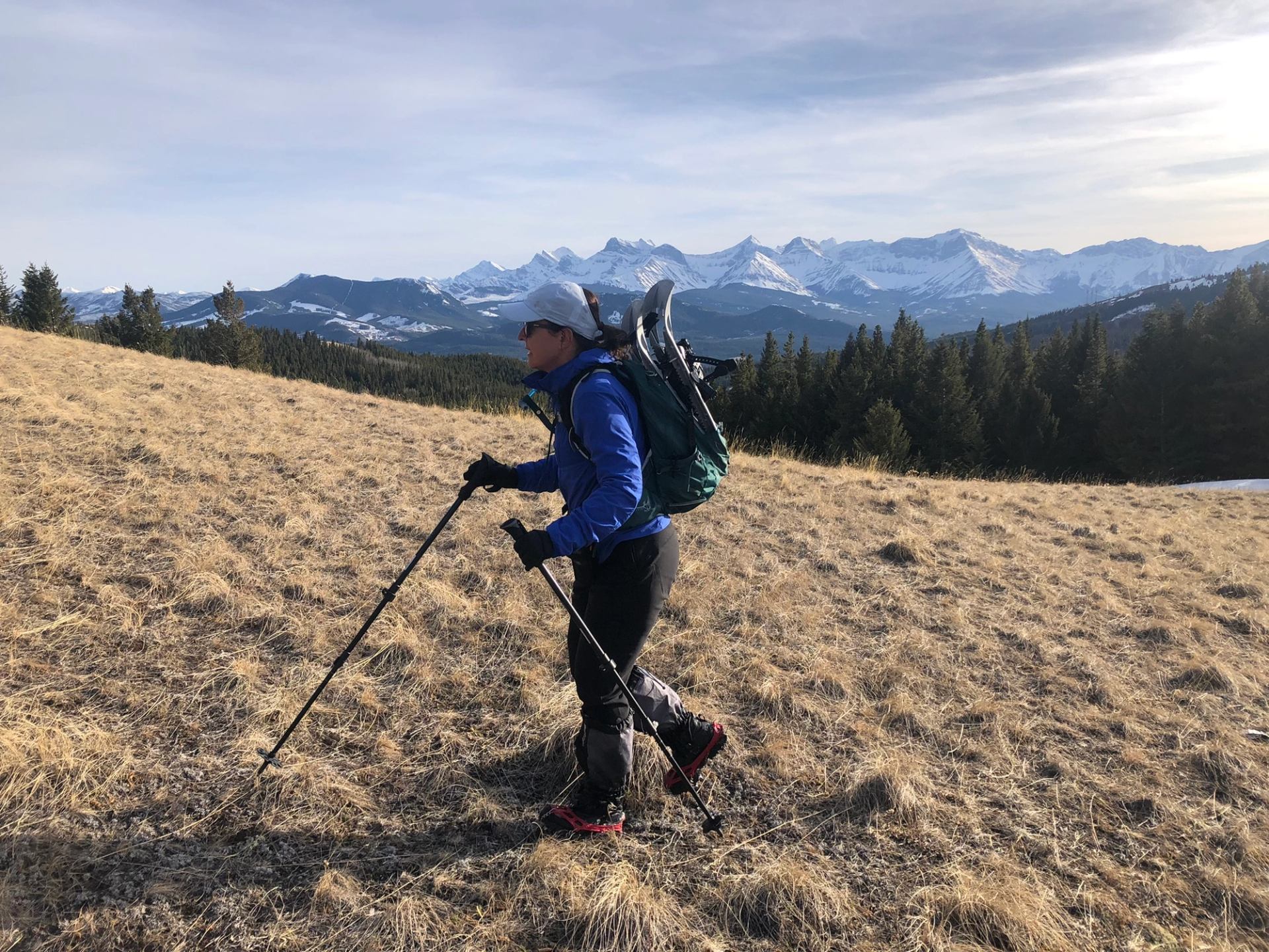 Snowshoer walking across a grassy ridge with snowy peaks in the distance.