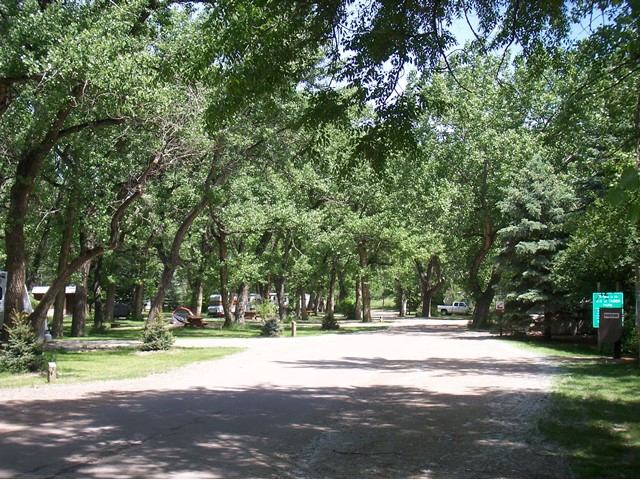 Gravel road winding through a shaded campground with tall green trees and scattered tents.